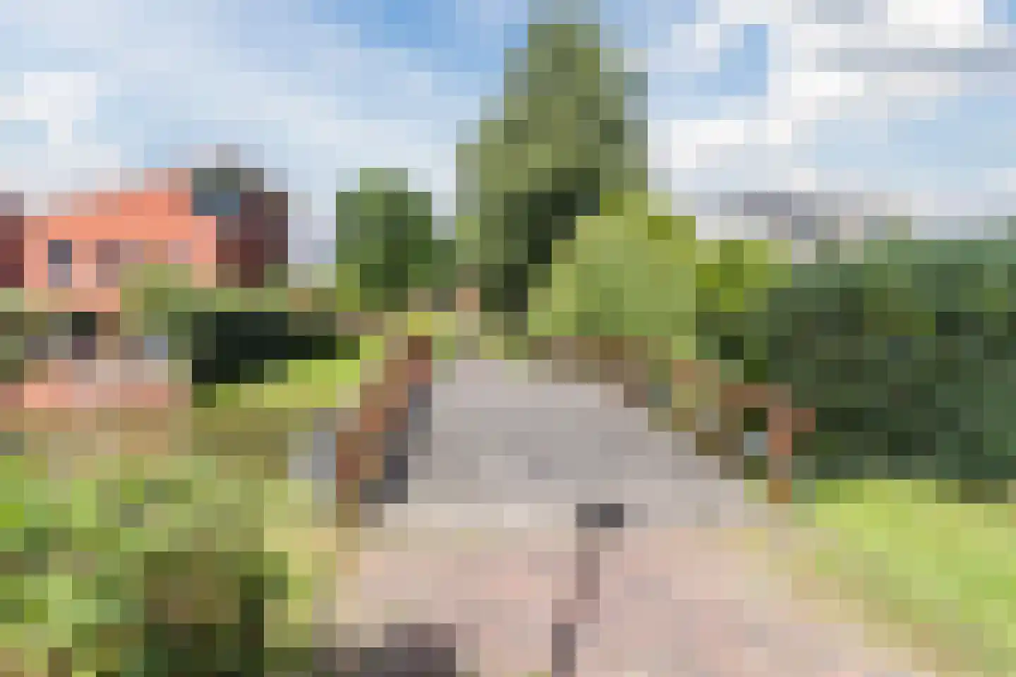 Pluimzegge 31 Den Haag thumbnail 45
