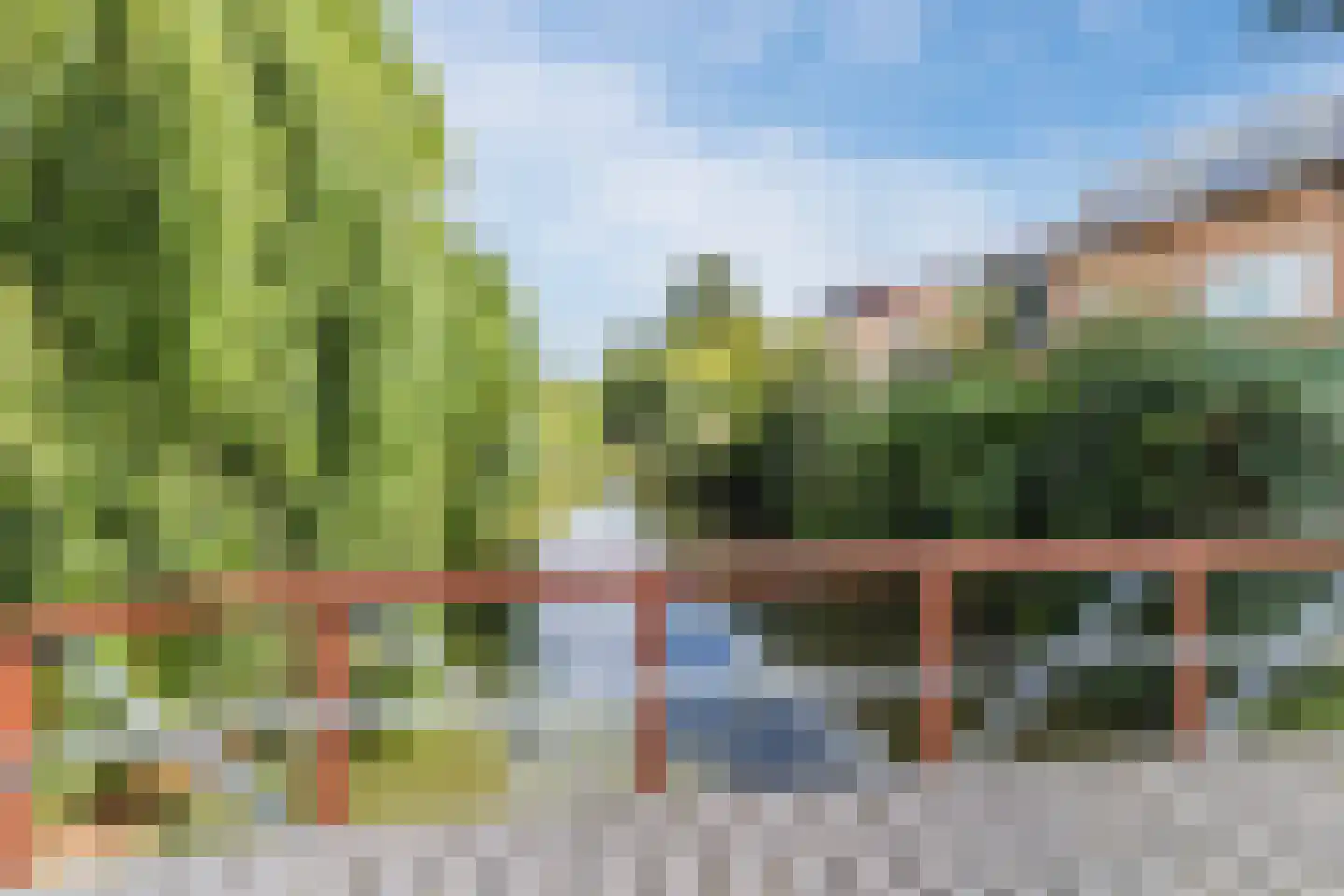 Pluimzegge 31 Den Haag thumbnail 46