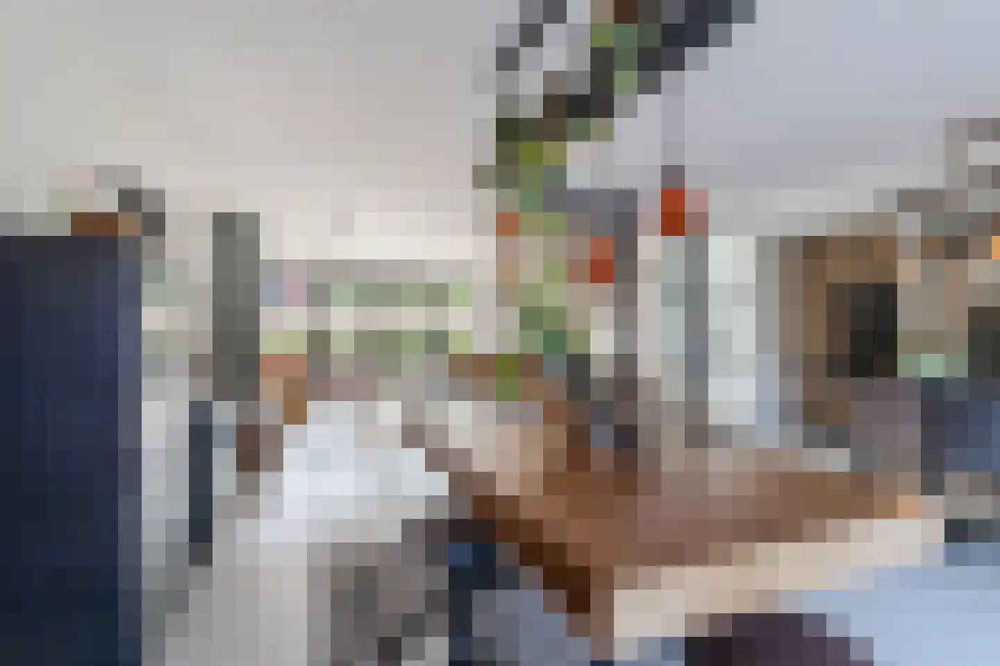 Pluimzegge 31 Den Haag thumbnail 5