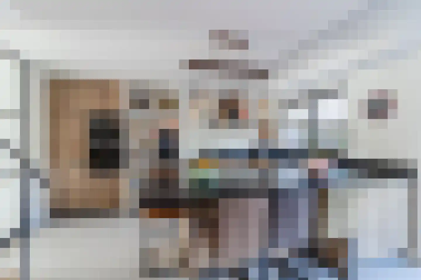 Pluimzegge 31 Den Haag thumbnail 6