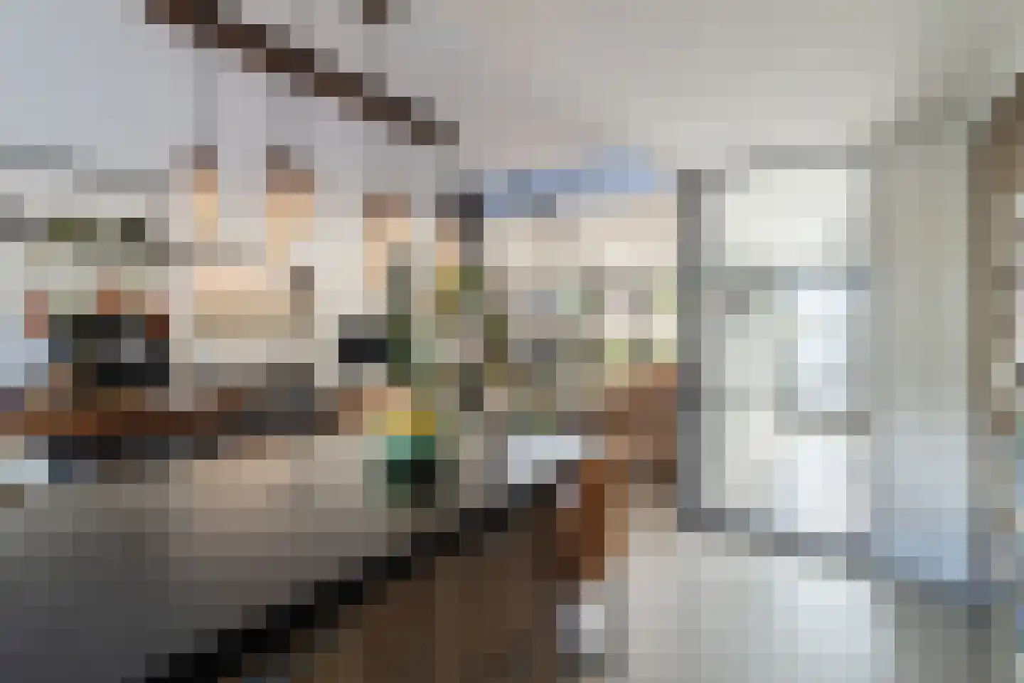 Pluimzegge 31 Den Haag thumbnail 7