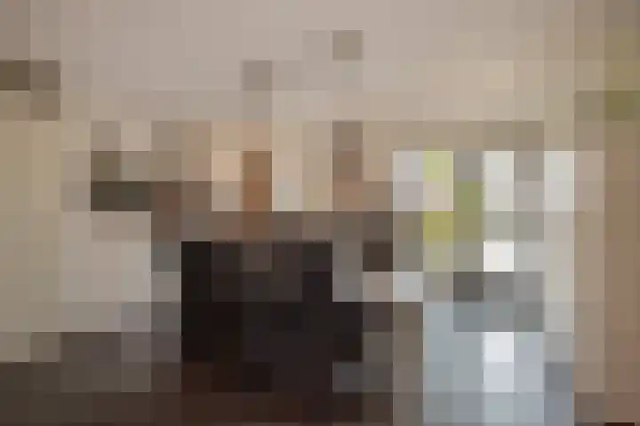 Pluimzegge 52 Den Haag thumbnail 12