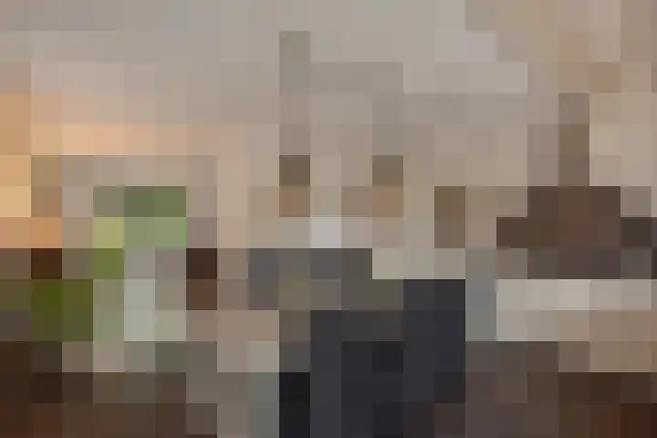 Pluimzegge 52 Den Haag thumbnail 13