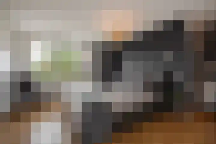 Pluimzegge 52 Den Haag thumbnail 19