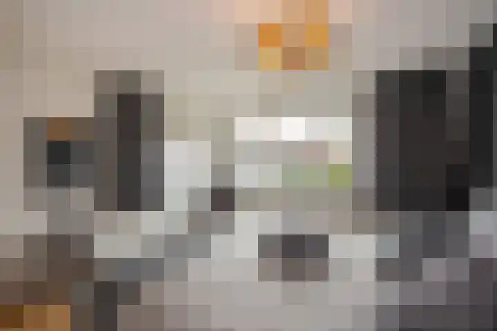Pluimzegge 52 Den Haag thumbnail 20