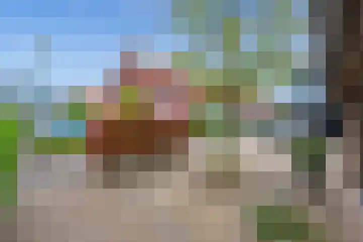 Pluimzegge 52 Den Haag thumbnail 32