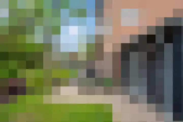 Pluimzegge 52 Den Haag thumbnail 34