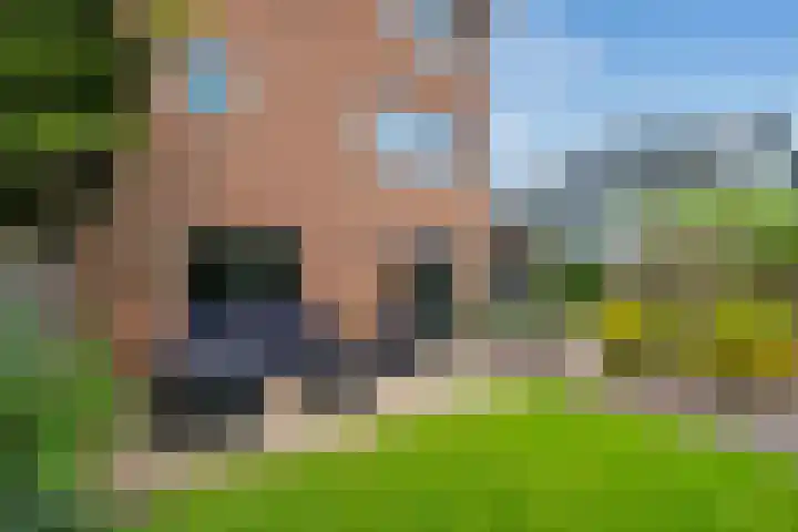 Pluimzegge 52 Den Haag thumbnail 36