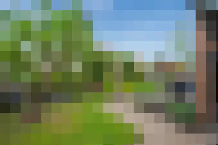 Pluimzegge 52 Den Haag thumbnail 37