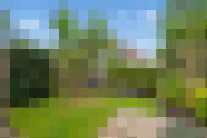 Pluimzegge 52 Den Haag thumbnail 38