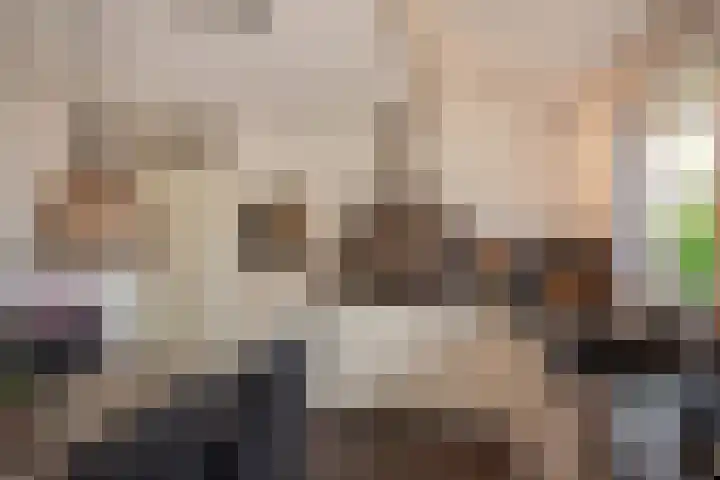 Pluimzegge 52 Den Haag thumbnail 4