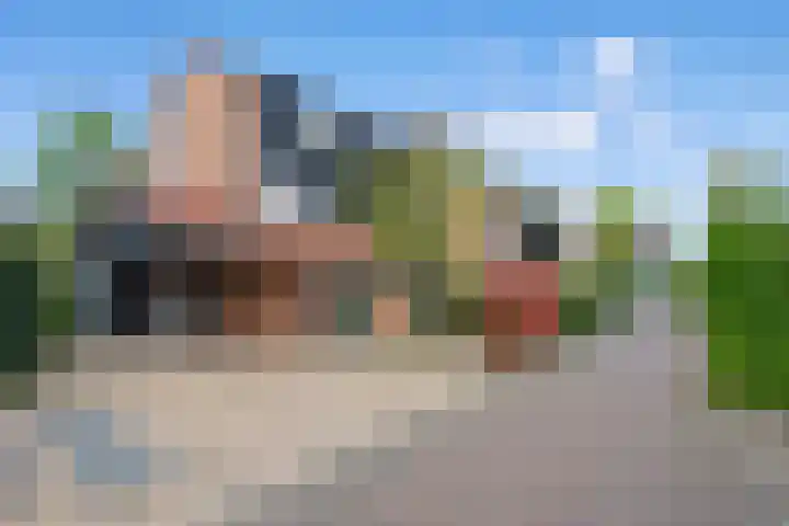 Pluimzegge 52 Den Haag thumbnail 5