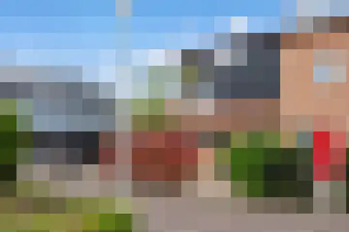 Pluimzegge 52 Den Haag thumbnail 6