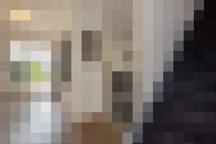 Pluimzegge 52 Den Haag thumbnail 7