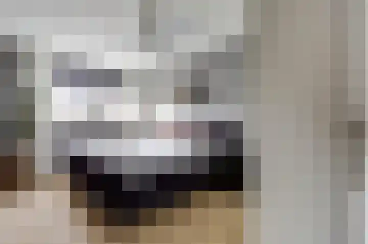 Pluimzegge 7 Nieuw-Lekkerland thumbnail 11
