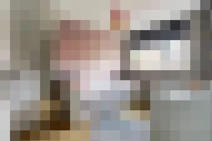 Pluimzegge 7 Nieuw-Lekkerland thumbnail 13