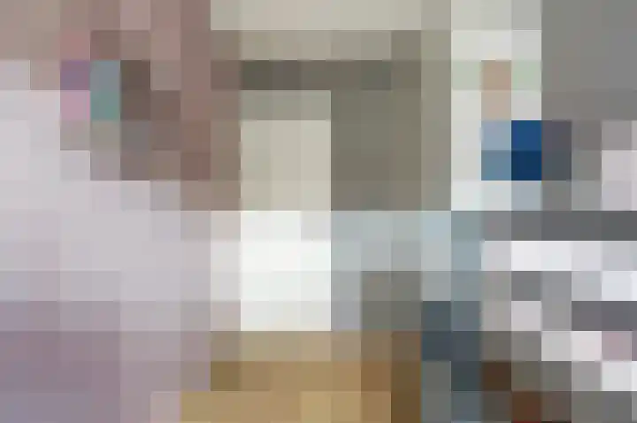Pluimzegge 7 Nieuw-Lekkerland thumbnail 16