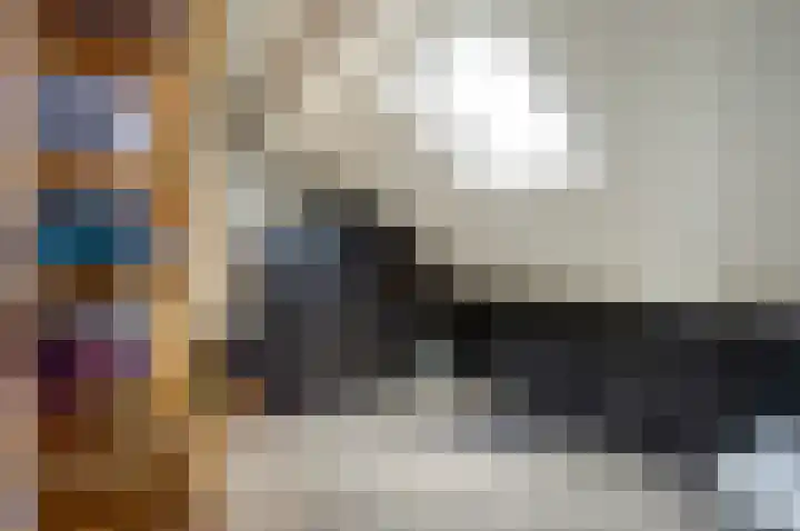 Pluimzegge 7 Nieuw-Lekkerland thumbnail 23