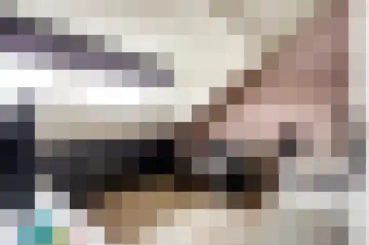 Pluimzegge 7 Nieuw-Lekkerland thumbnail 25