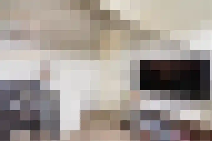 Pluimzegge 7 Nieuw-Lekkerland thumbnail 27