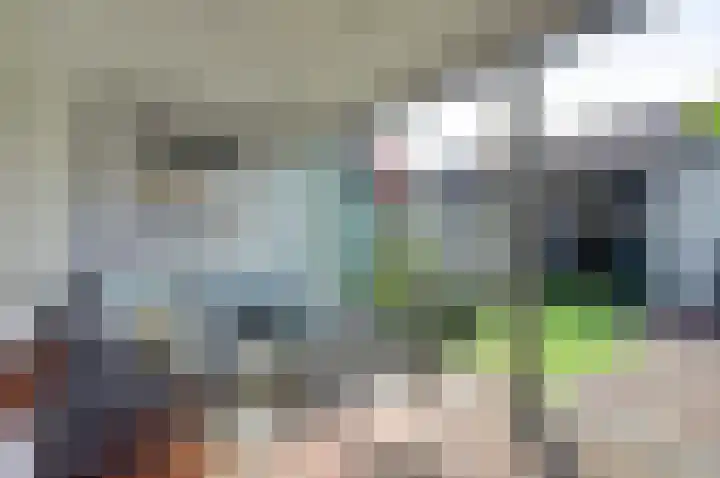 Pluimzegge 7 Nieuw-Lekkerland thumbnail 28