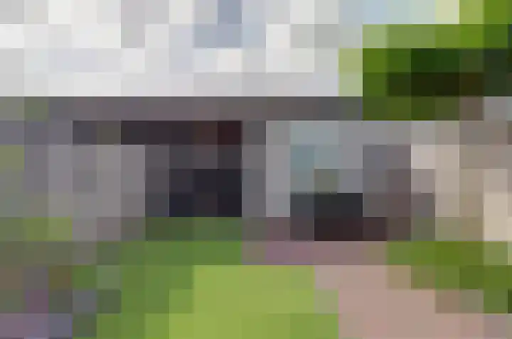 Pluimzegge 7 Nieuw-Lekkerland thumbnail 30
