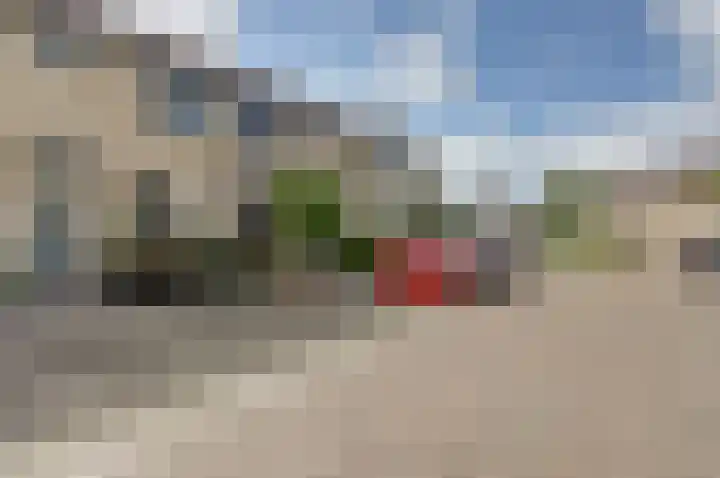 Pluimzegge 7 Nieuw-Lekkerland thumbnail 31