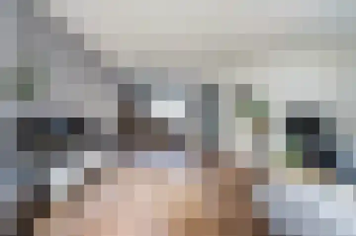 Pluimzegge 7 Nieuw-Lekkerland thumbnail 6