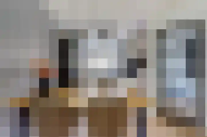 Pluimzegge 7 Nieuw-Lekkerland thumbnail 7