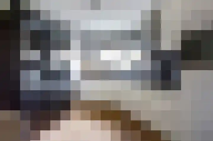Pluimzegge 7 Nieuw-Lekkerland thumbnail 8