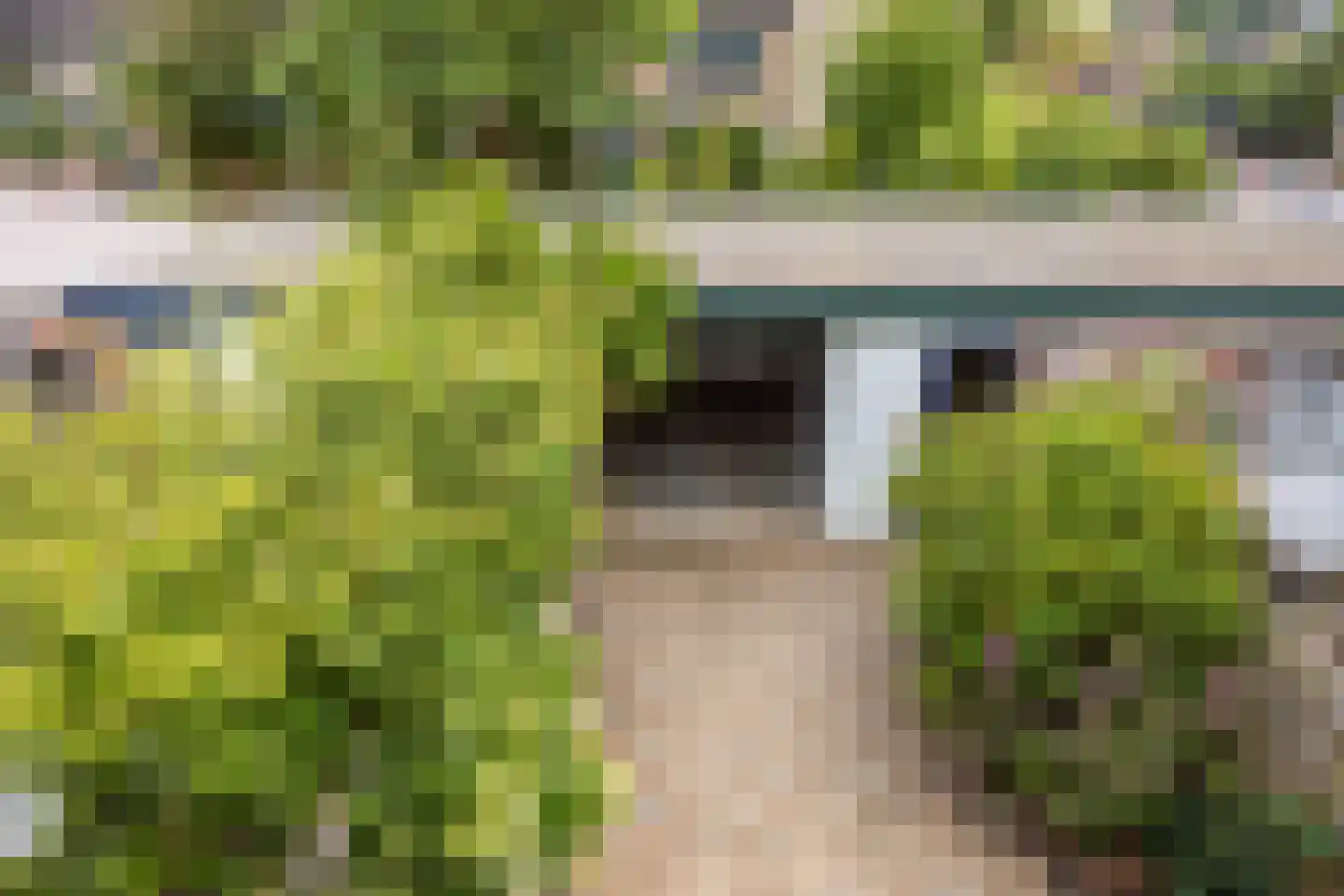 Pluimzeggekreek 2 Leiderdorp thumbnail 16