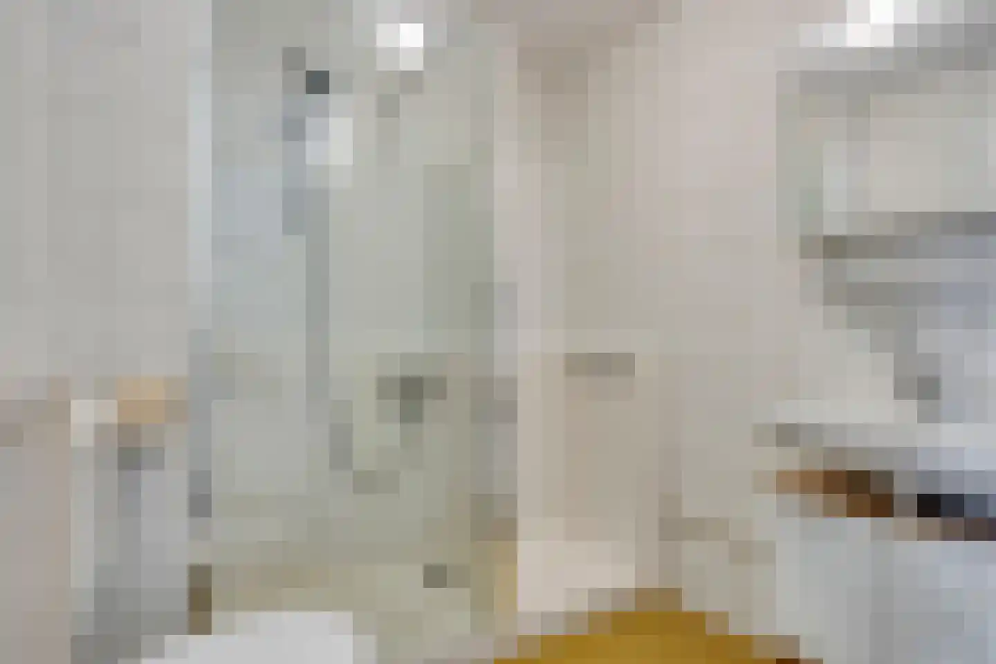 Pluimzeggekreek 2 Leiderdorp thumbnail 24