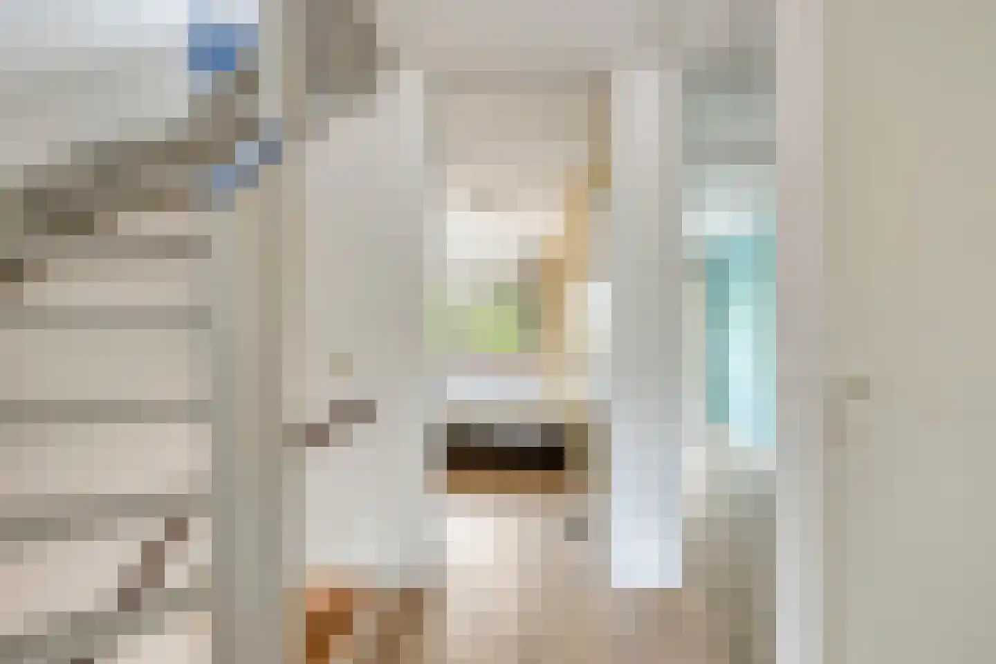 Pluimzeggekreek 2 Leiderdorp thumbnail 26