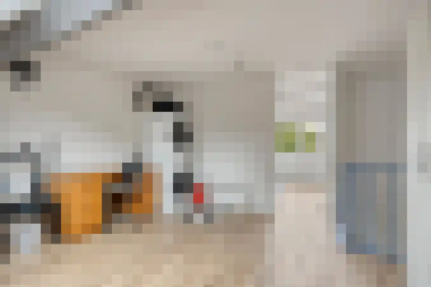 Pluimzeggekreek 2 Leiderdorp thumbnail 29
