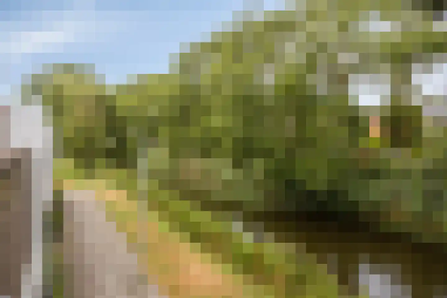 Pluimzeggekreek 2 Leiderdorp thumbnail 32