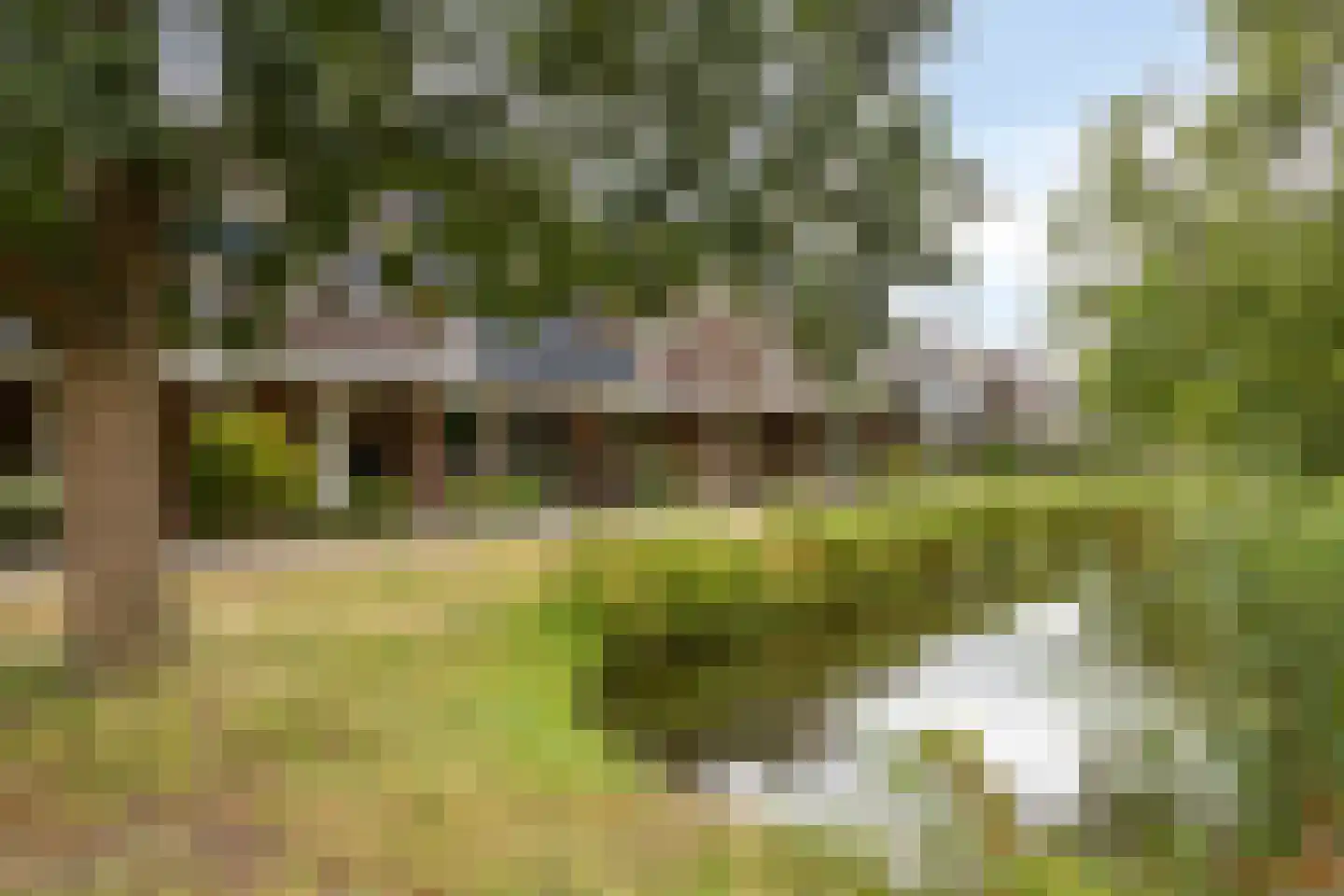 Pluimzeggekreek 2 Leiderdorp thumbnail 34