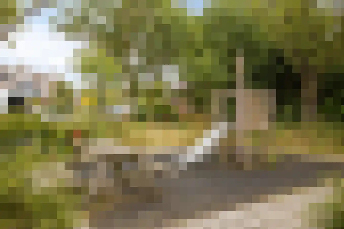 Pluimzeggekreek 2 Leiderdorp thumbnail 35