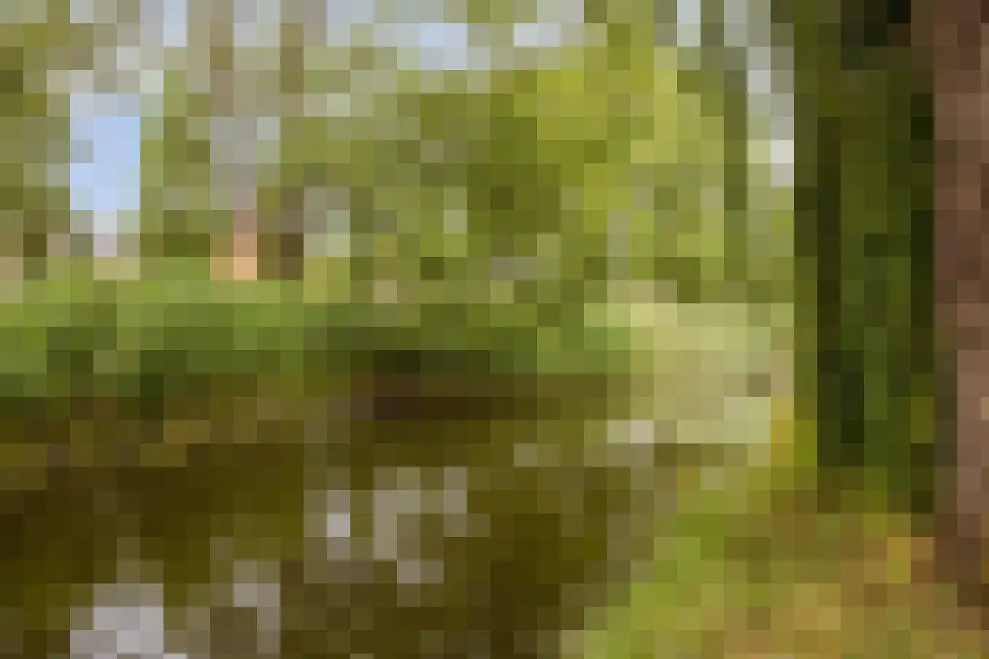 Pluimzeggekreek 2 Leiderdorp thumbnail 36