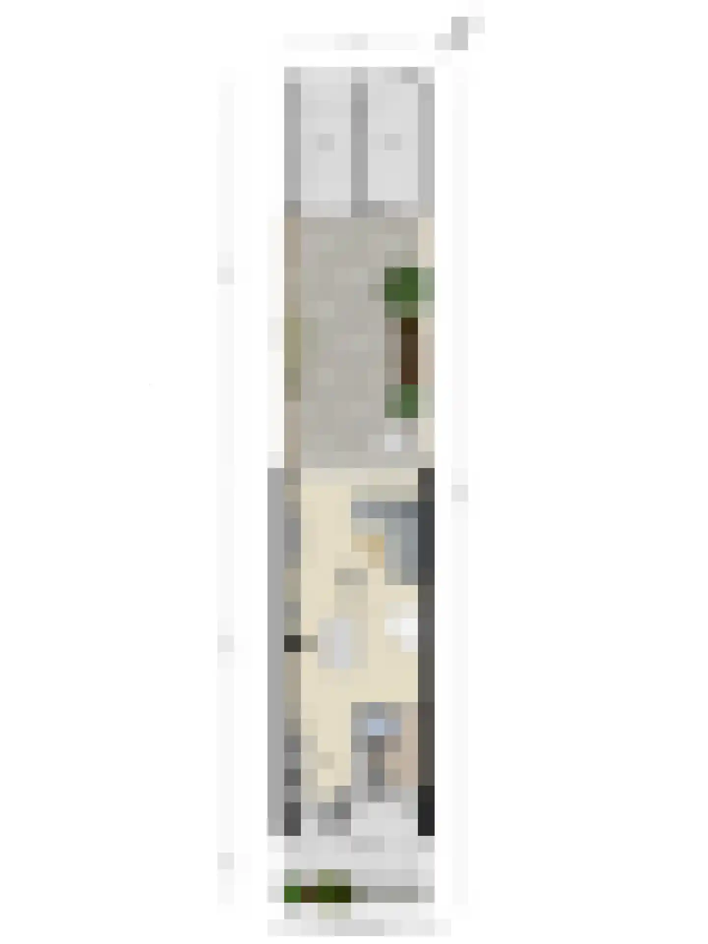 Pluimzeggekreek 2 Leiderdorp thumbnail 37
