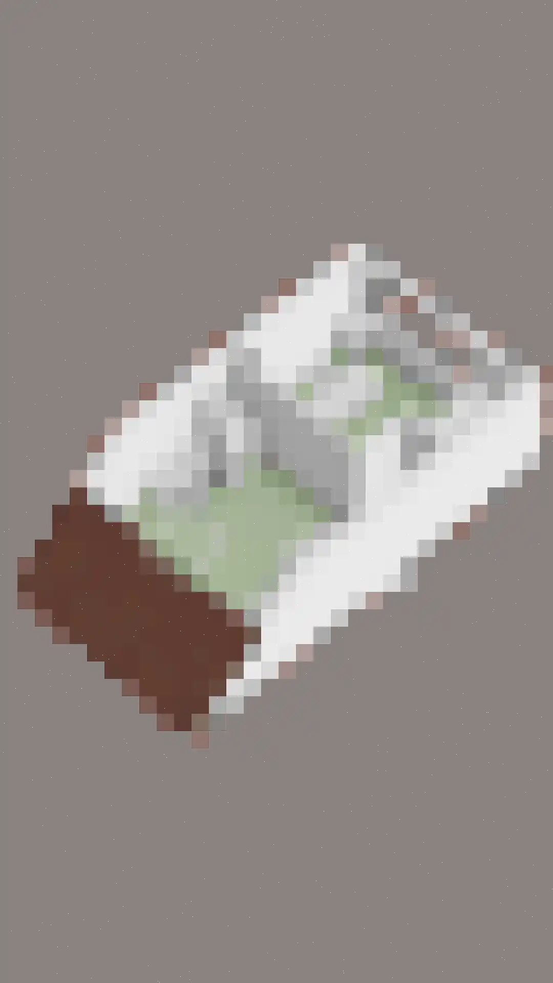 Pluimzeggekreek 2 Leiderdorp thumbnail 44