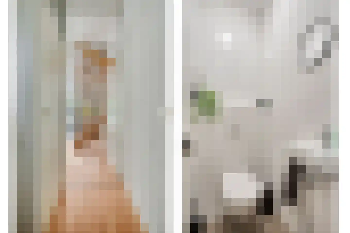 Pluimzeggekreek 2 Leiderdorp thumbnail 5
