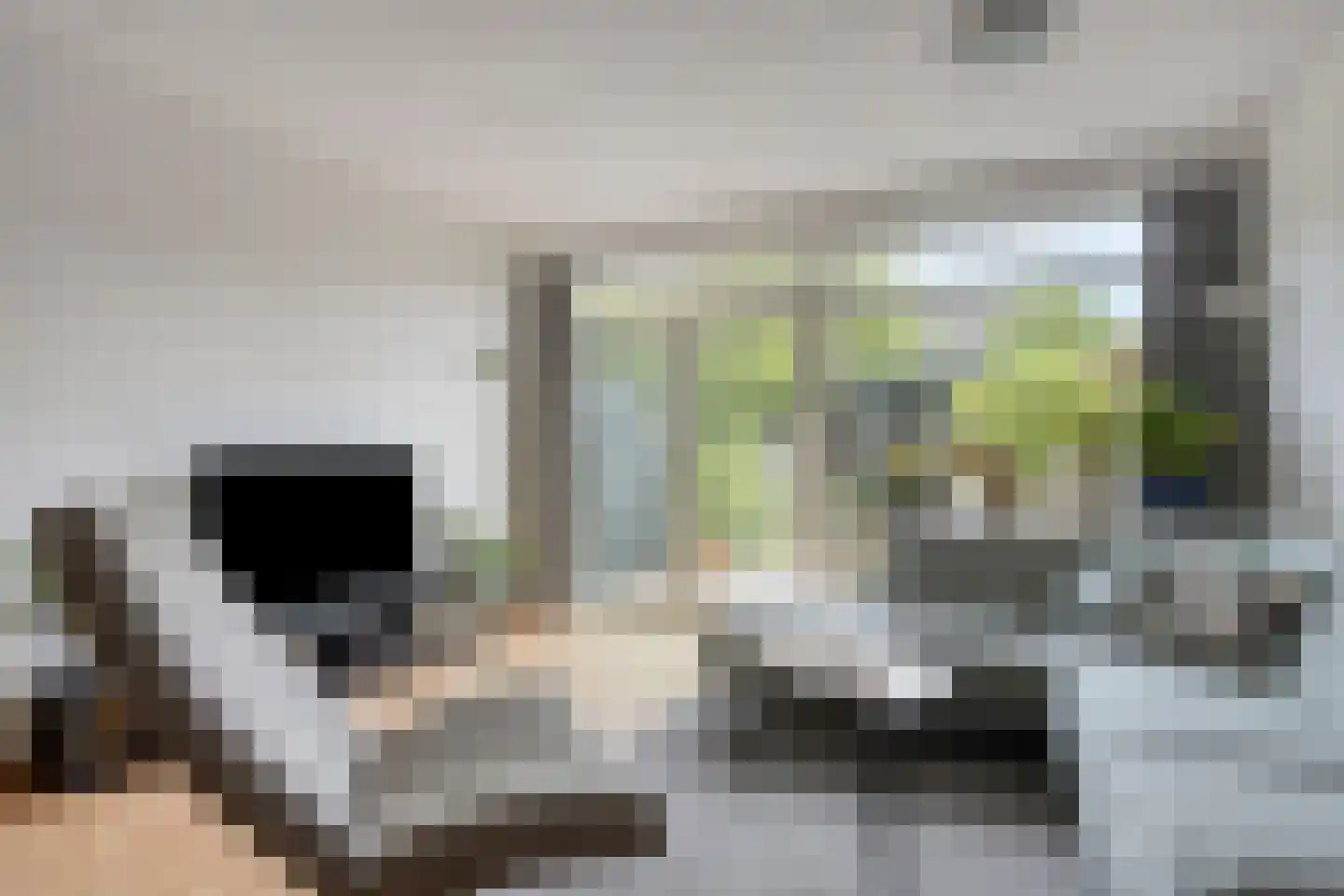 Pluimzeggekreek 2 Leiderdorp thumbnail 7