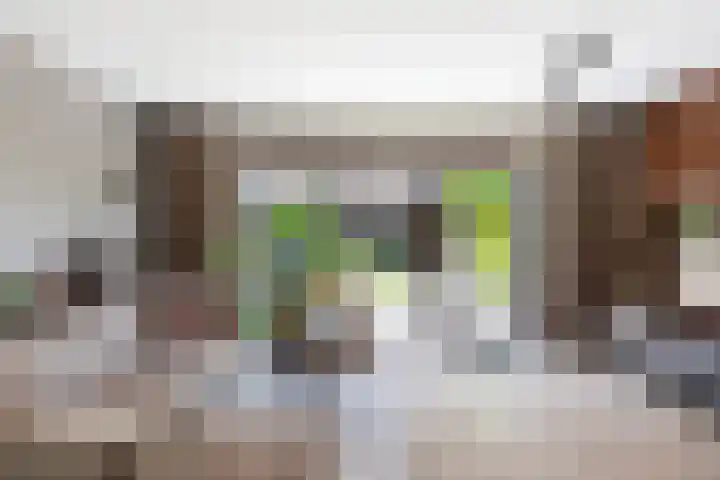 Pluis 26 Maassluis thumbnail 13