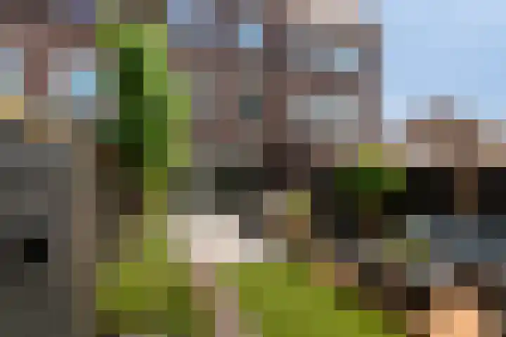 Pluis 26 Maassluis thumbnail 16
