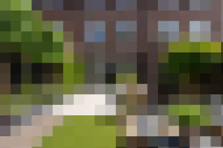 Pluis 26 Maassluis thumbnail 17