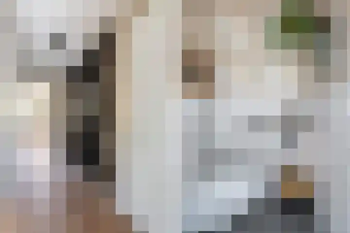 Pluis 26 Maassluis thumbnail 28
