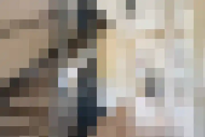 Pluis 26 Maassluis thumbnail 29