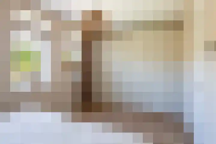 Pluis 26 Maassluis thumbnail 35