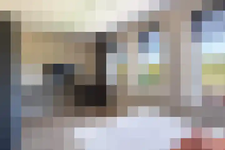 Pluis 26 Maassluis thumbnail 39
