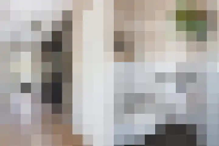 Pluis 26 Maassluis thumbnail 42